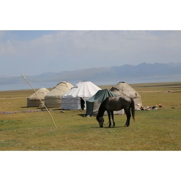 2016 NAC 028 - Optimized.jpg