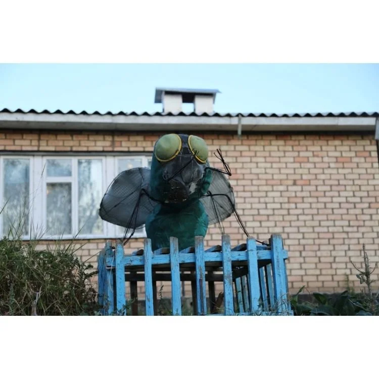 2017 NAC 099 - Optimized.jpg