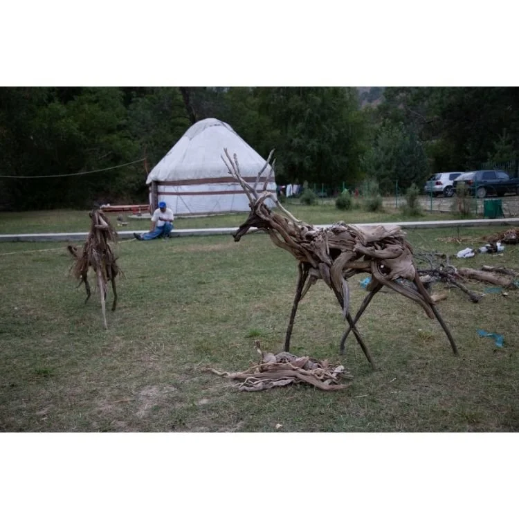 2014 NAC 23 - Optimized.jpg