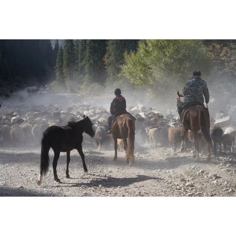 2022 NAC 12 - Optimized.jpg