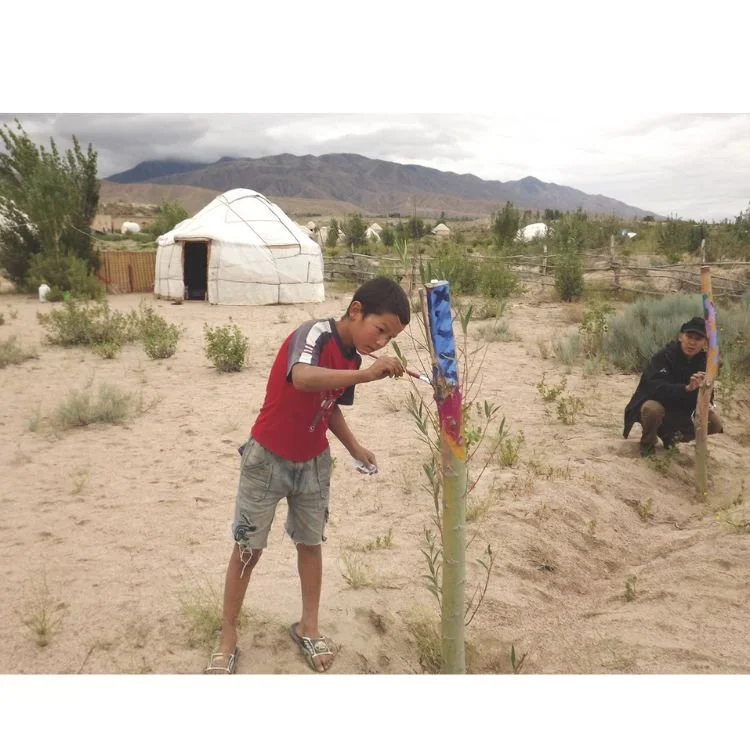 2011 NAC 13 - Optimized.jpg