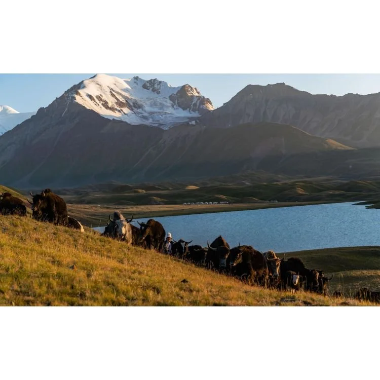 2021 NAC 13 - Optimized.jpg