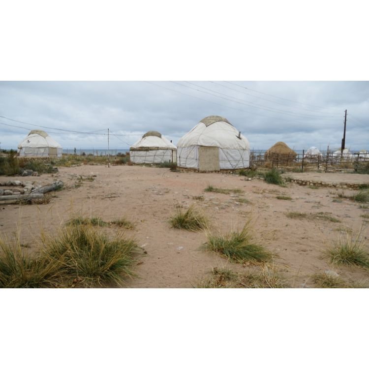 2021 NAC 11 - Optimized.jpg