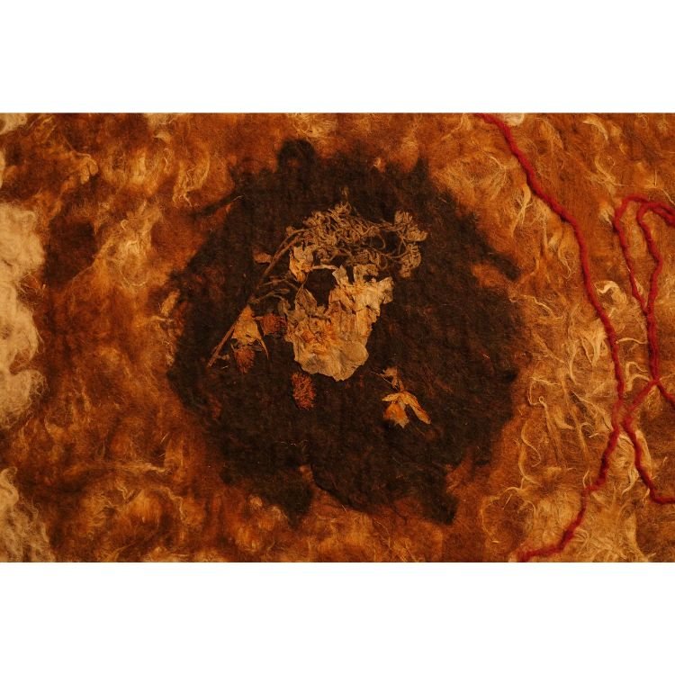 2020 NAC 05 - Optimized.jpg