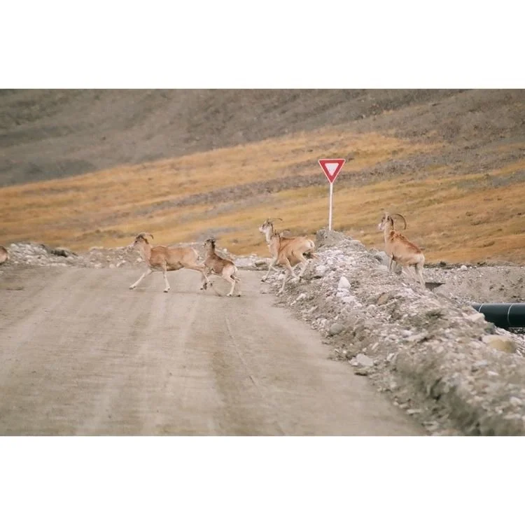 2012 NAC 13 - Optimized.jpg