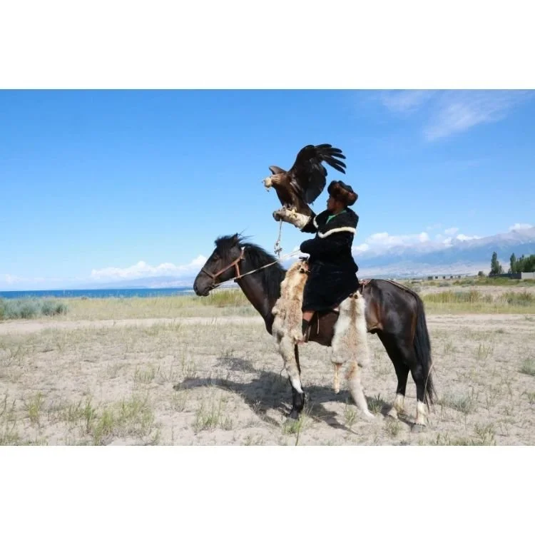 2015 NAC 017 - Optimized.jpg