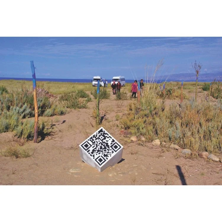 2011 NAC 12 - Optimized.jpg