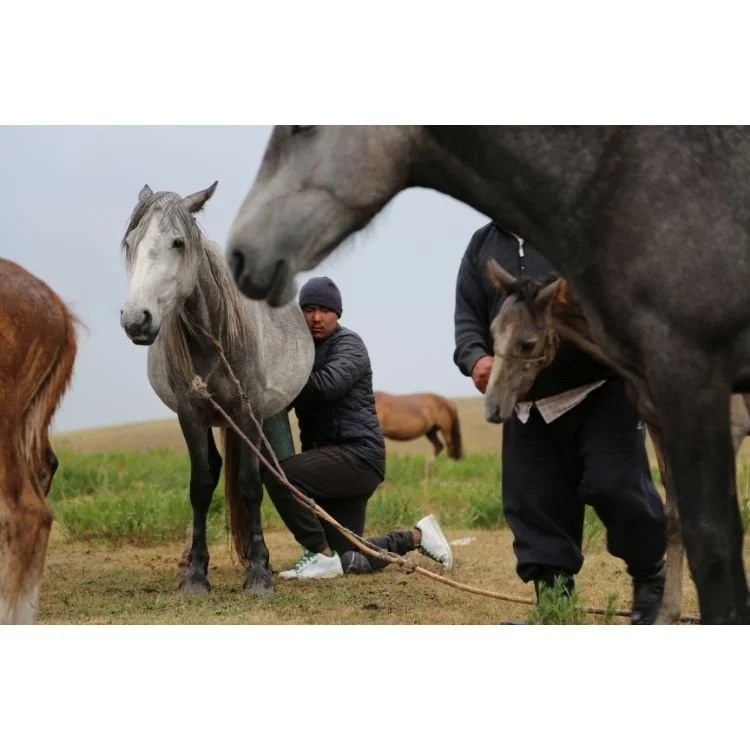 2014 NAC 25 - Optimized.jpg