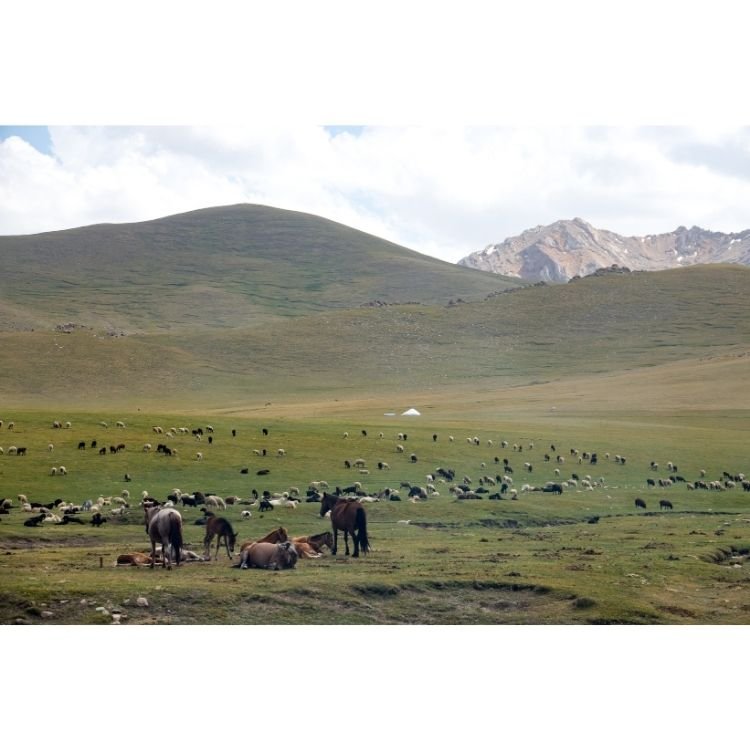 2018 NAC 001 - Optimized.jpg