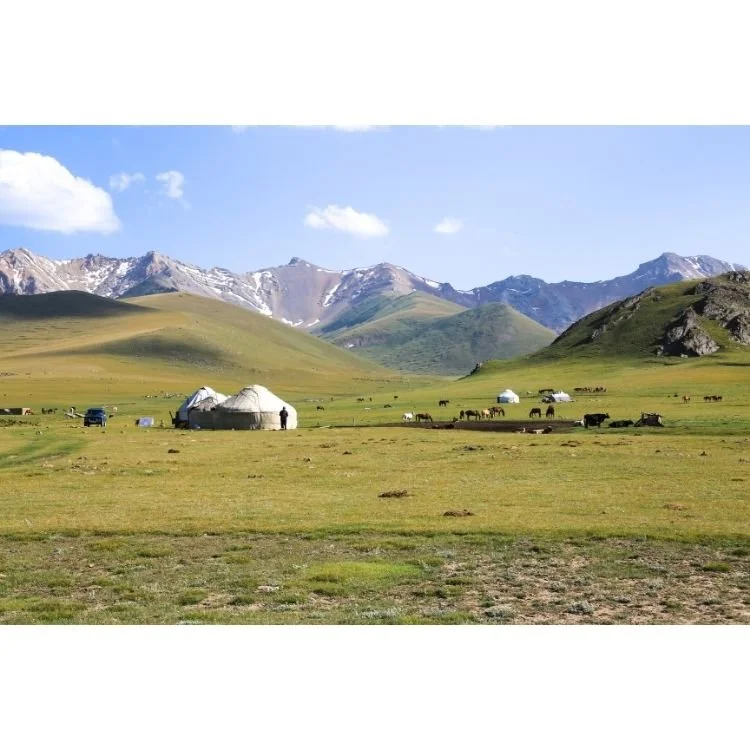 2016 NAC 009 - Optimized.jpg