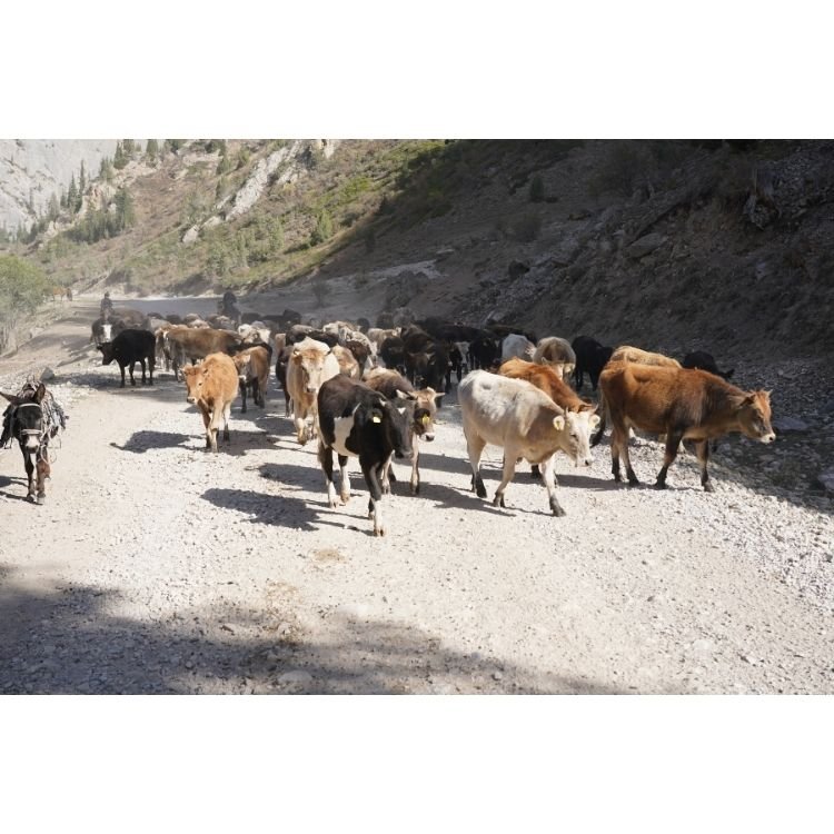 2019 NAC 05 - Optimized.jpg