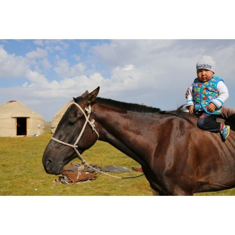 2016 NAC 023 - Optimized.jpg