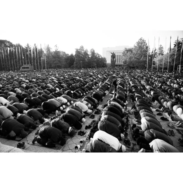 6 Puzzle-Optimized.jpg