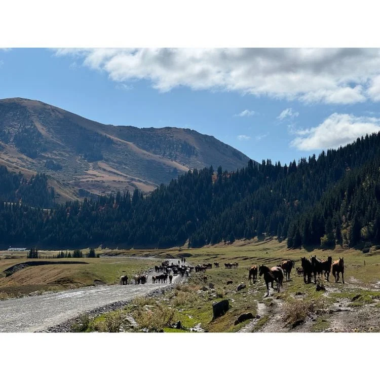 2024 NAC 13 - Optimized.jpg