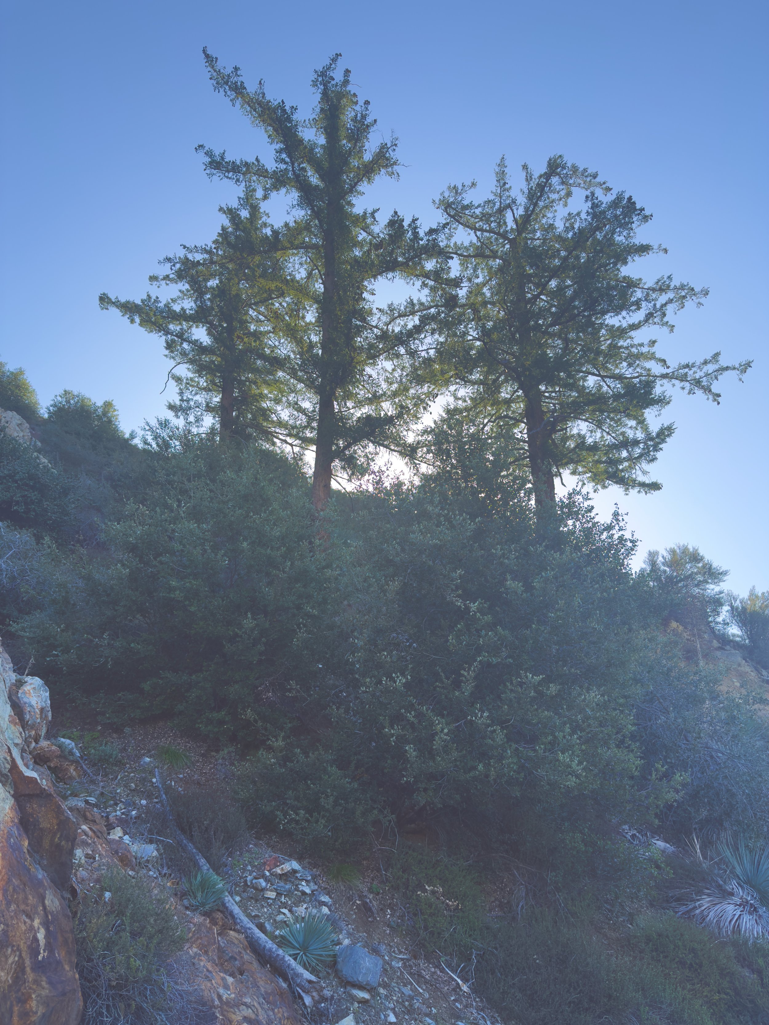  Six  to Stoddard Peak