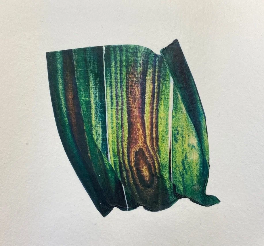 Untitled. 5''x5'', Polaroid Lift and acrylic, on watercolor paper, 2024