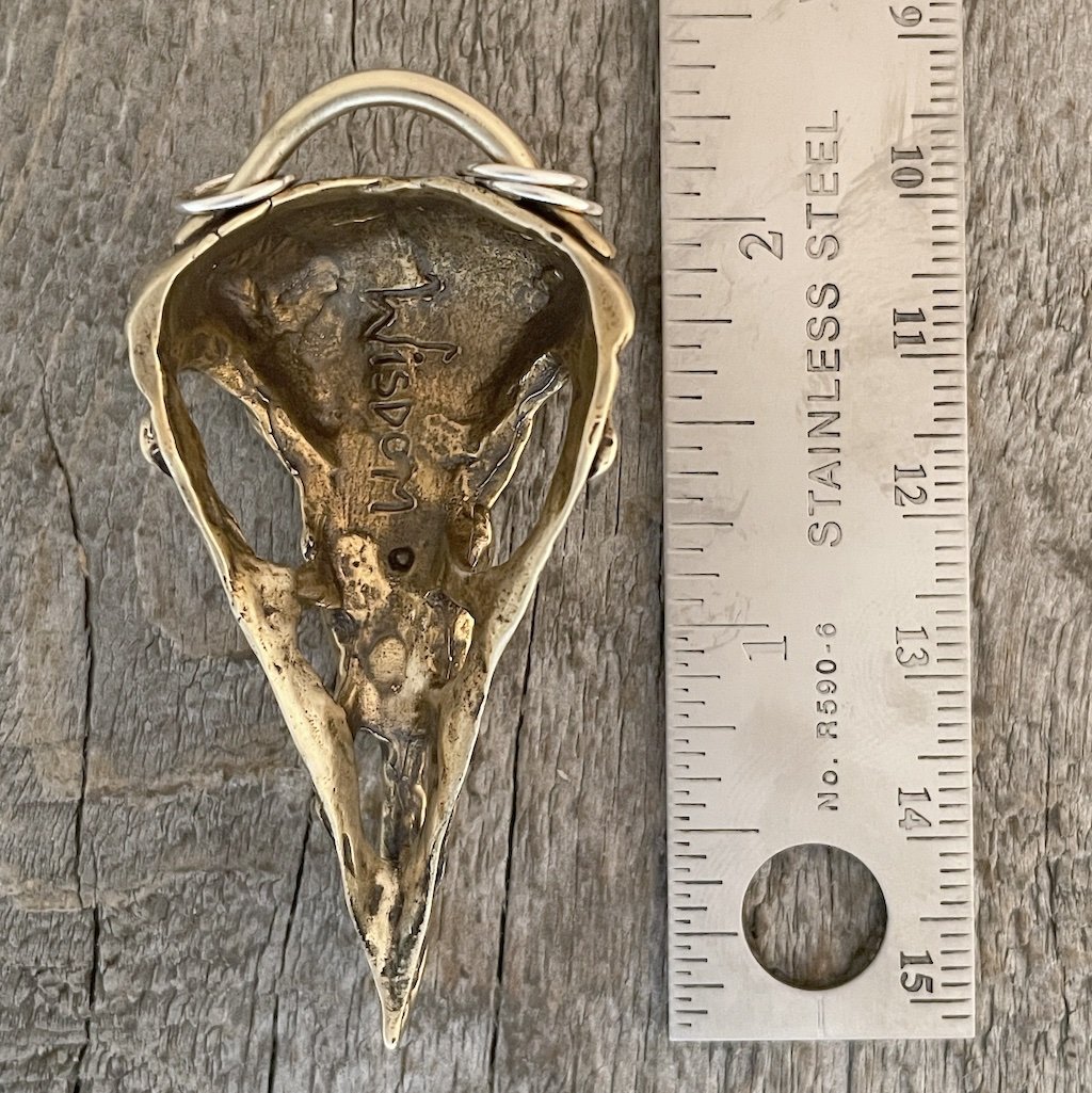 BarnowlskullRR.jpg