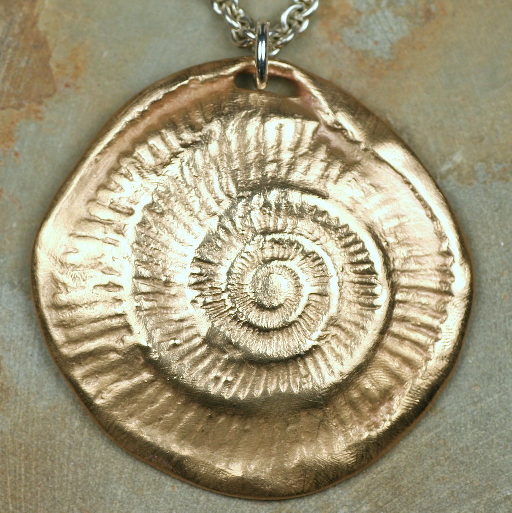 hugeammonite.jpg