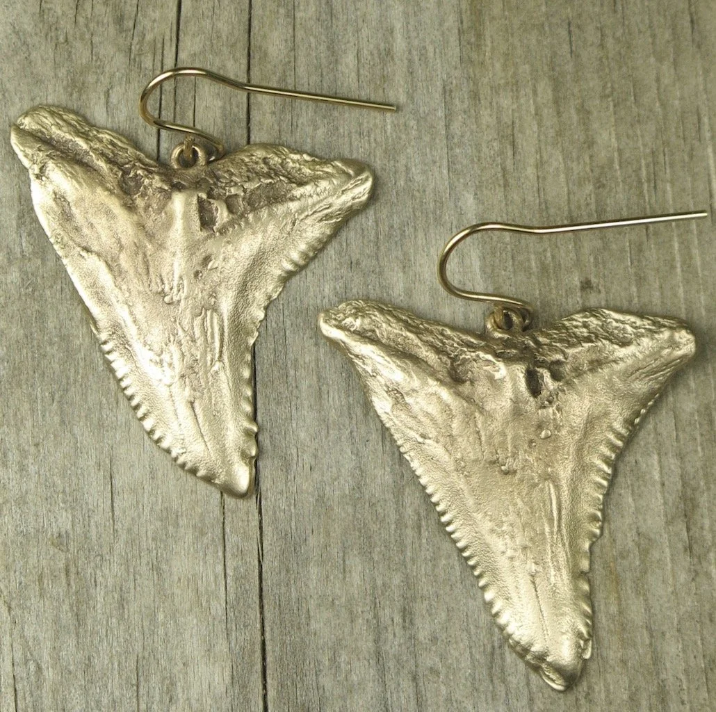 bluesharkteethbronze.jpg