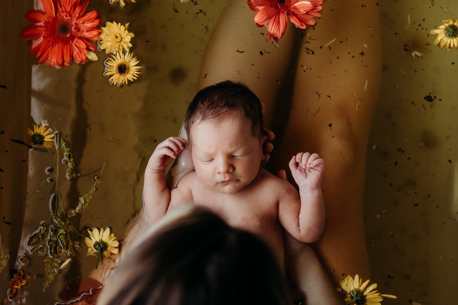 Newborn baby held in a bath with floating flowers