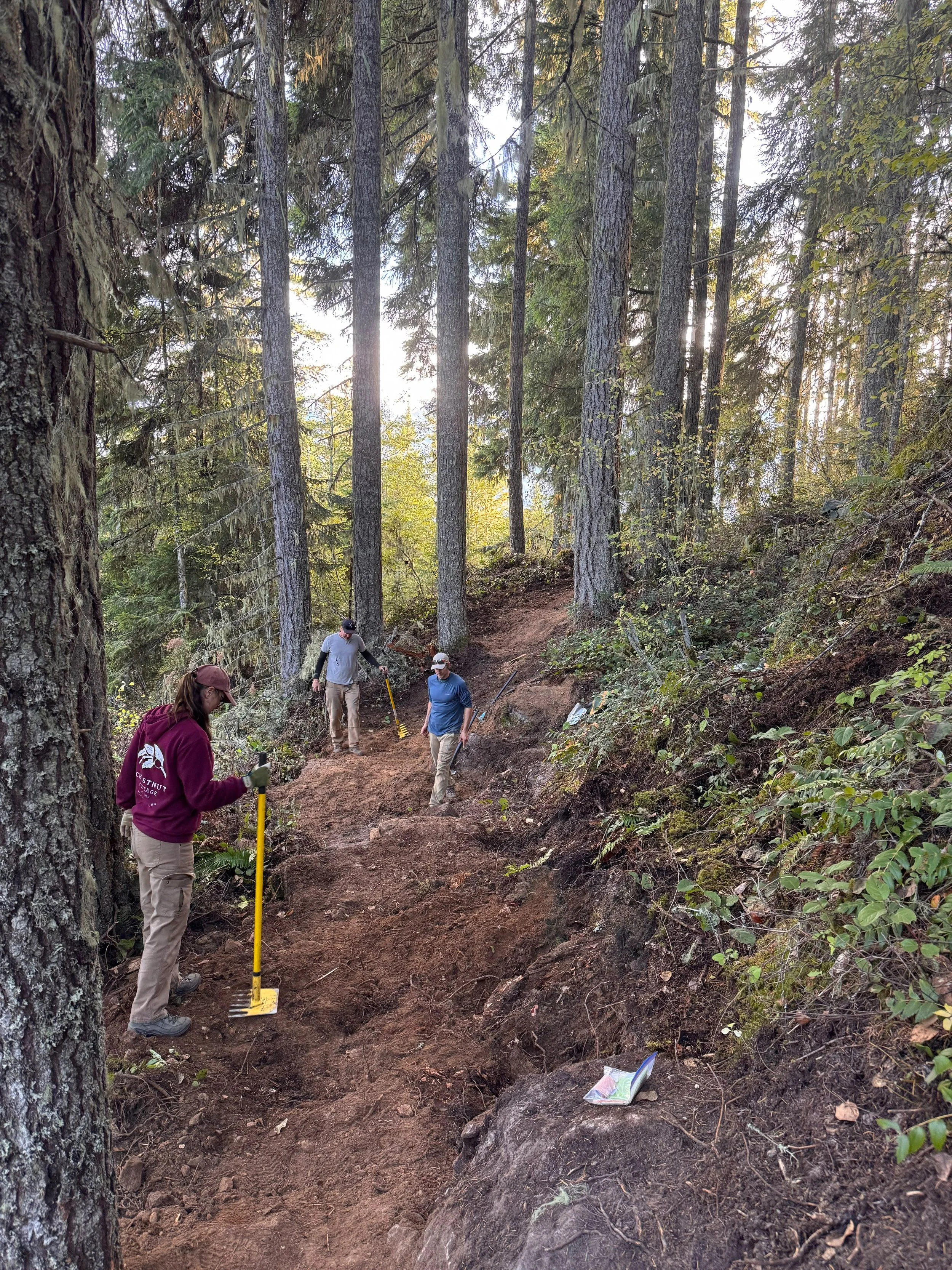 winter Trail Work Party