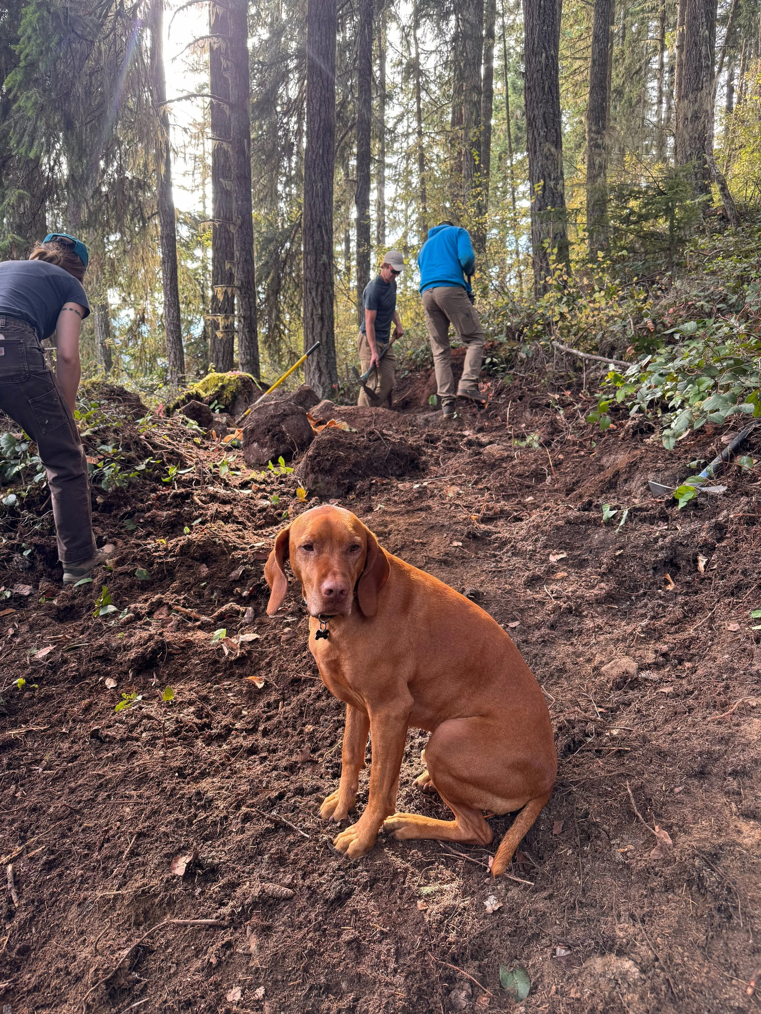 Fall Trail Work Party