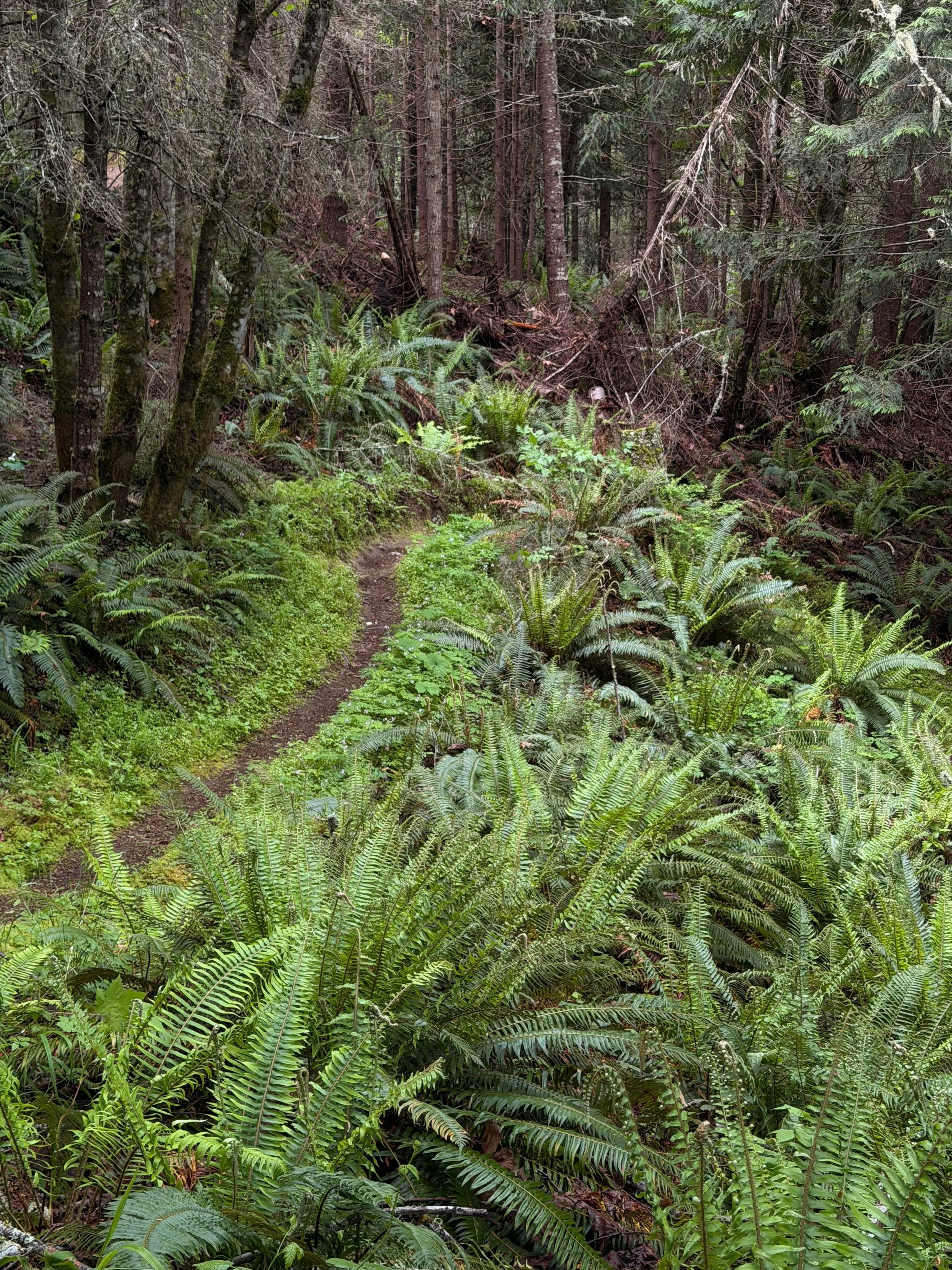 Fall Trail Work Party