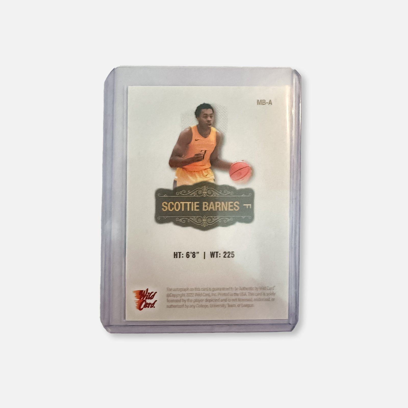 Scottie Barnes Back.jpg
