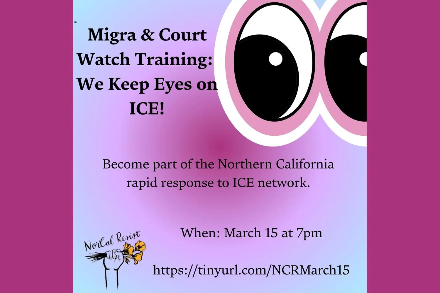 Migra & Court Watch Training: We Keep Eyes on ICE!