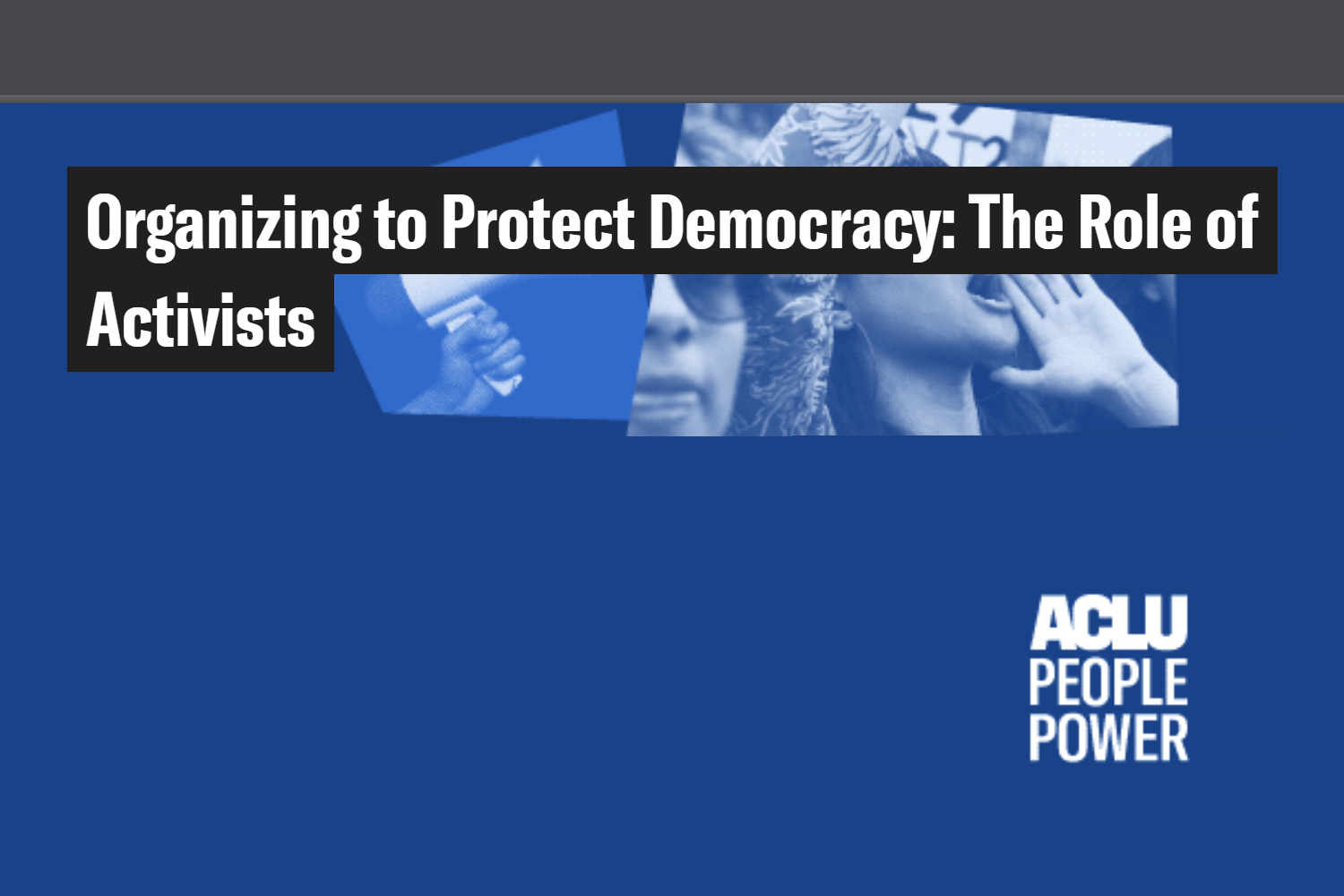 Organizing to Protect Democracy: The Role of Activists