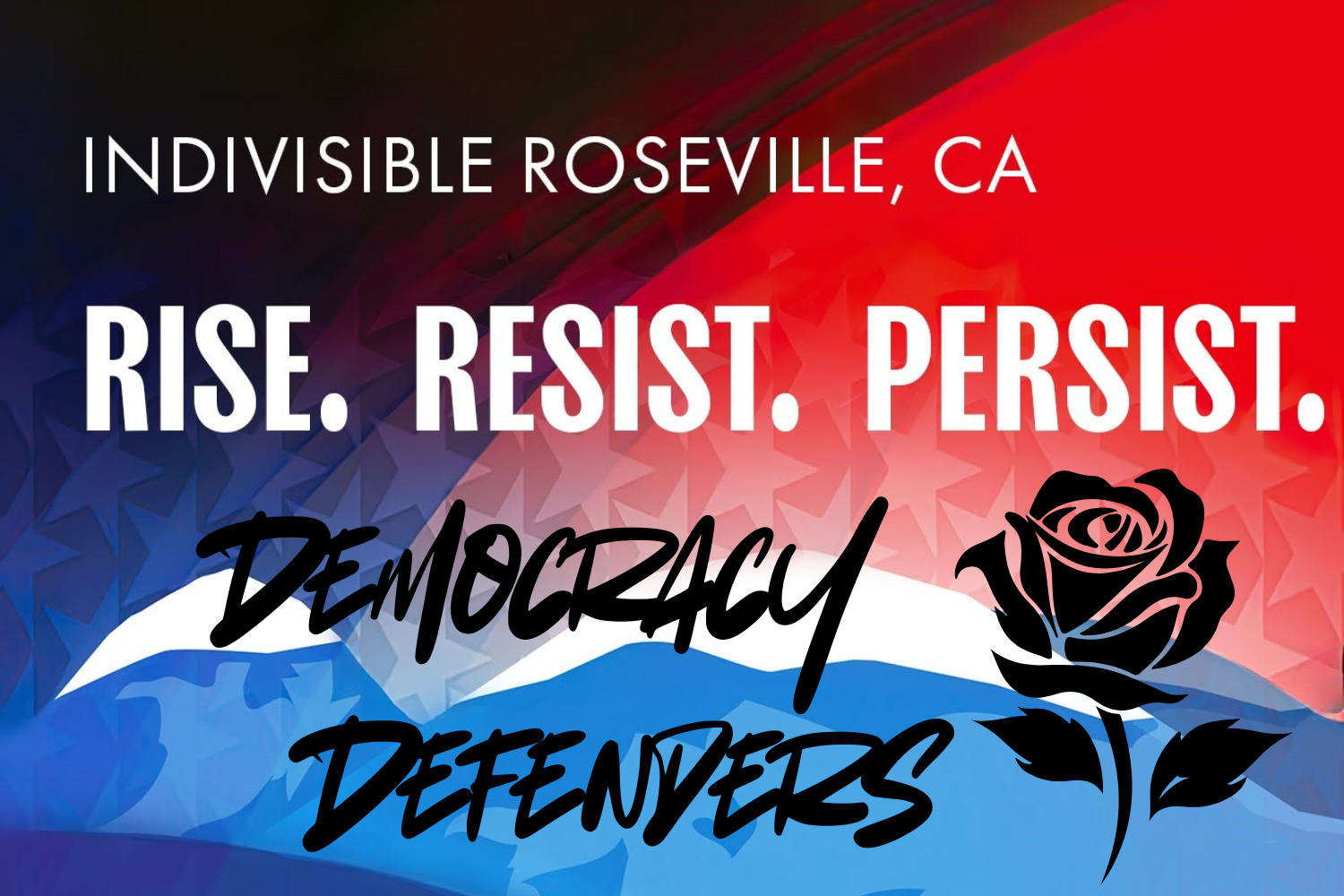 Indivisible Roseville's Democracy Defenders In-Person Meeting