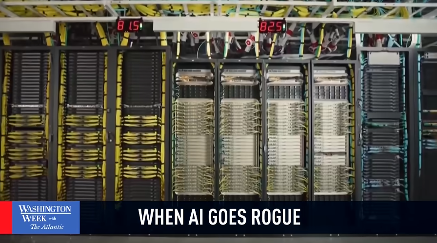 When AI Goes Rogue