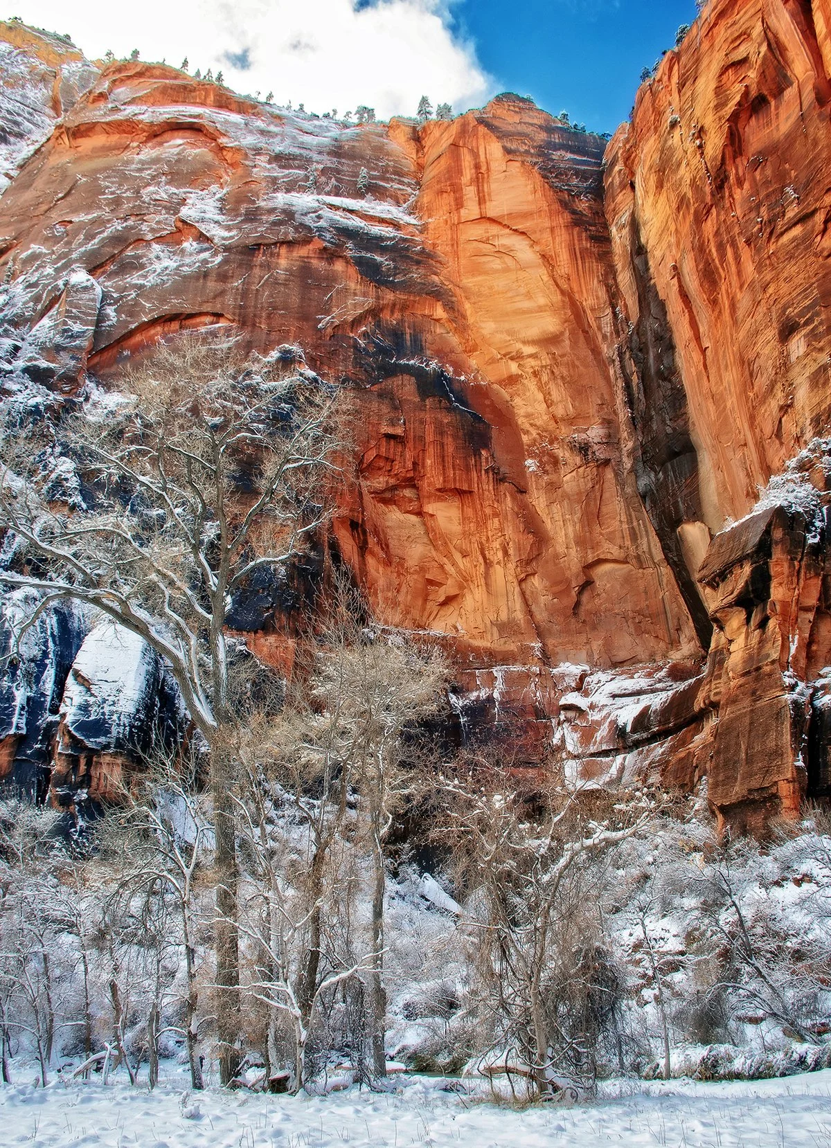 "Sinawava Snow," Zion