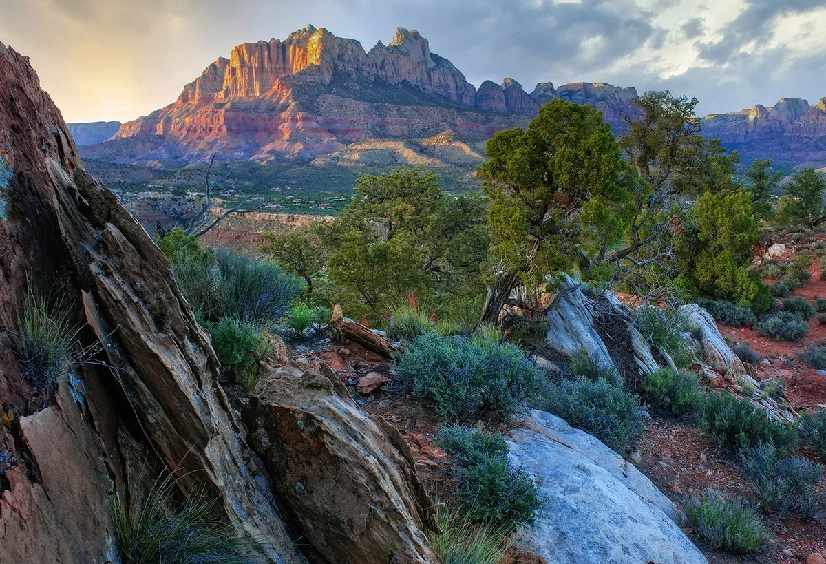 "Kinesava Spring," Zion