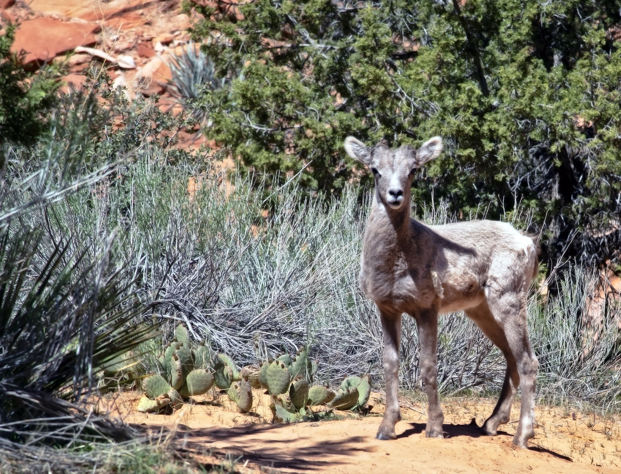 DSC_9813 Edited copy.jpg