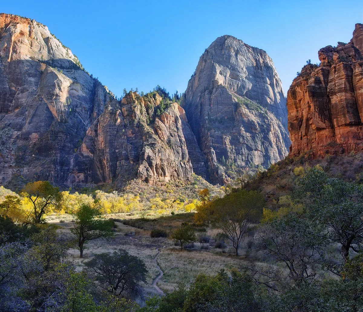 "Autumn Oasis," Great White Throne, Zion