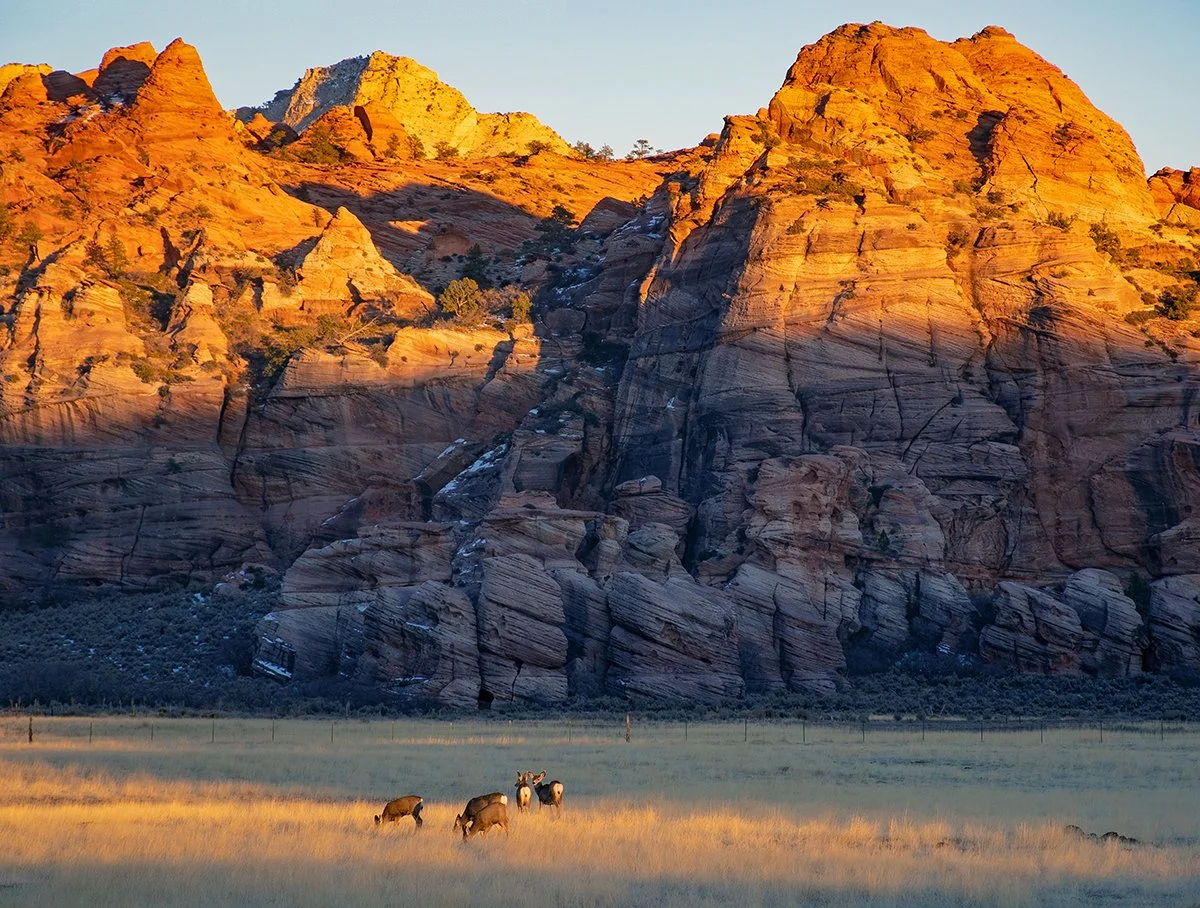 "Dinner with a View," Kolob Terrace, Zion