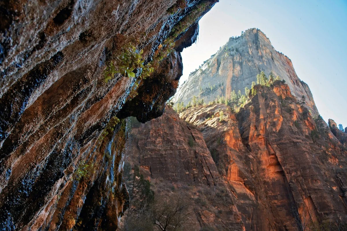 "Weaping Rock," Zion