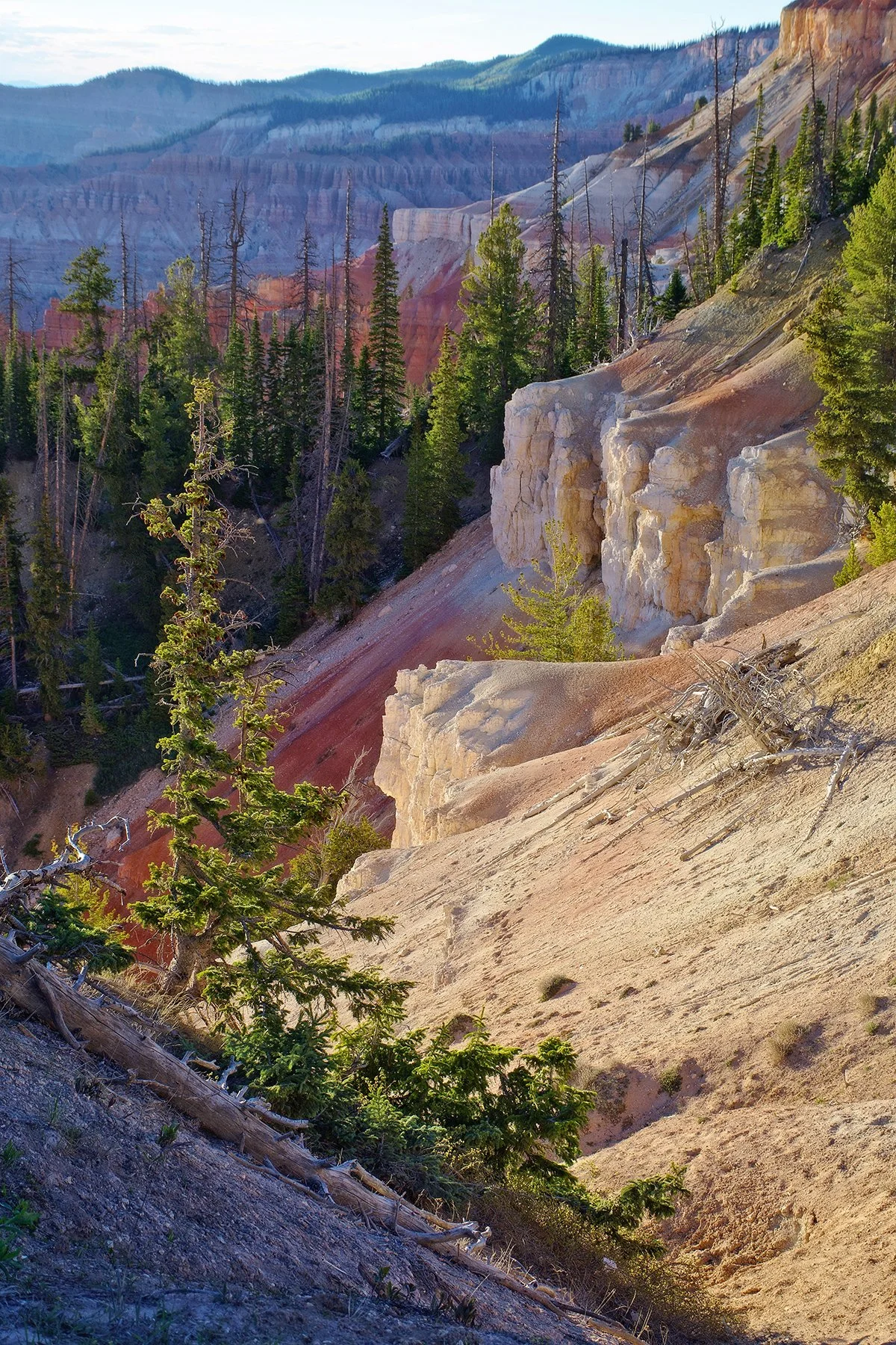 Cedar Breaks National Monument 2, Utah