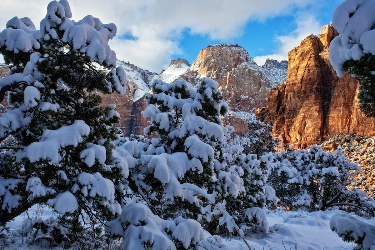 "Snow on the Sentinel," Zion