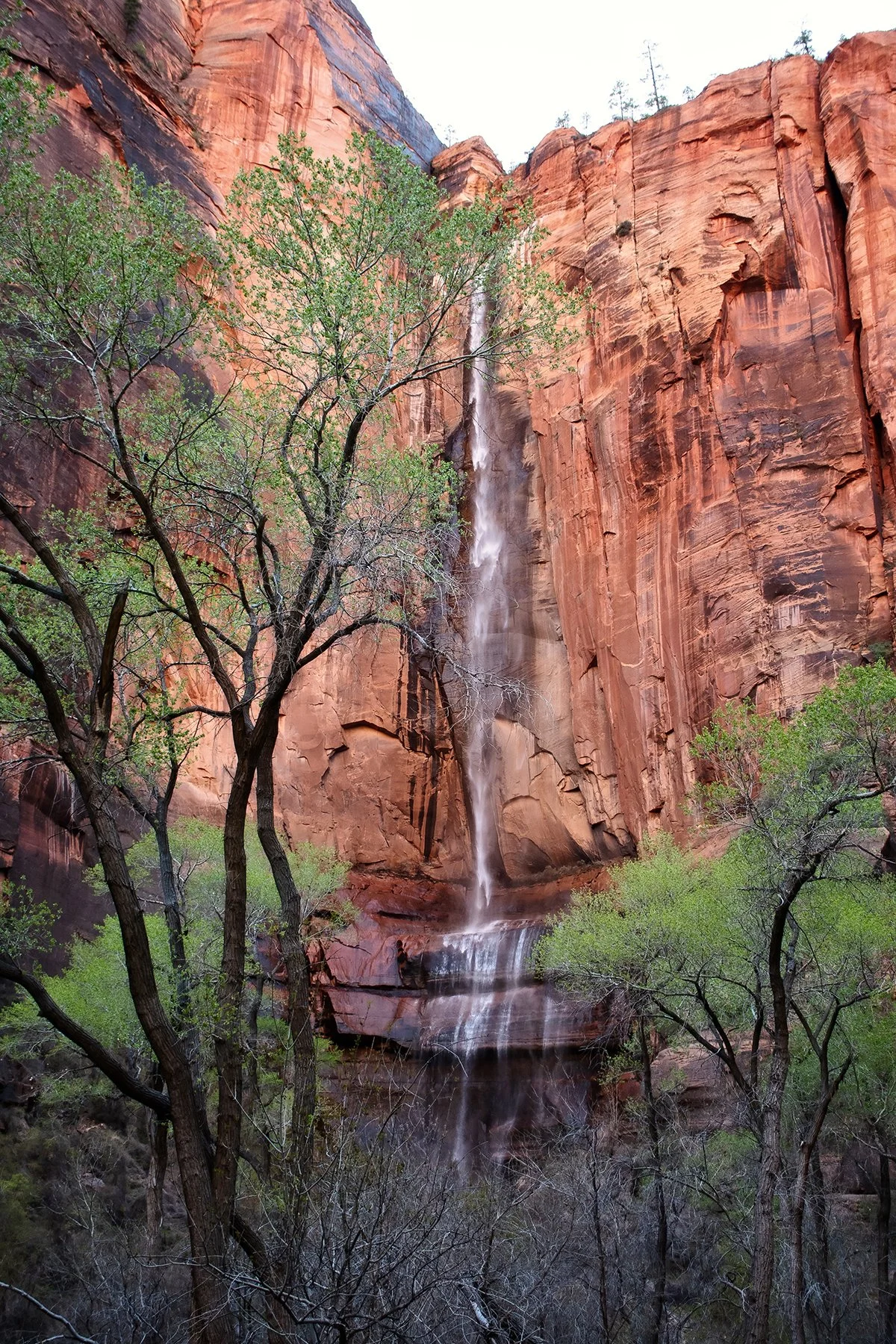 "Sinawava Shower," Zion