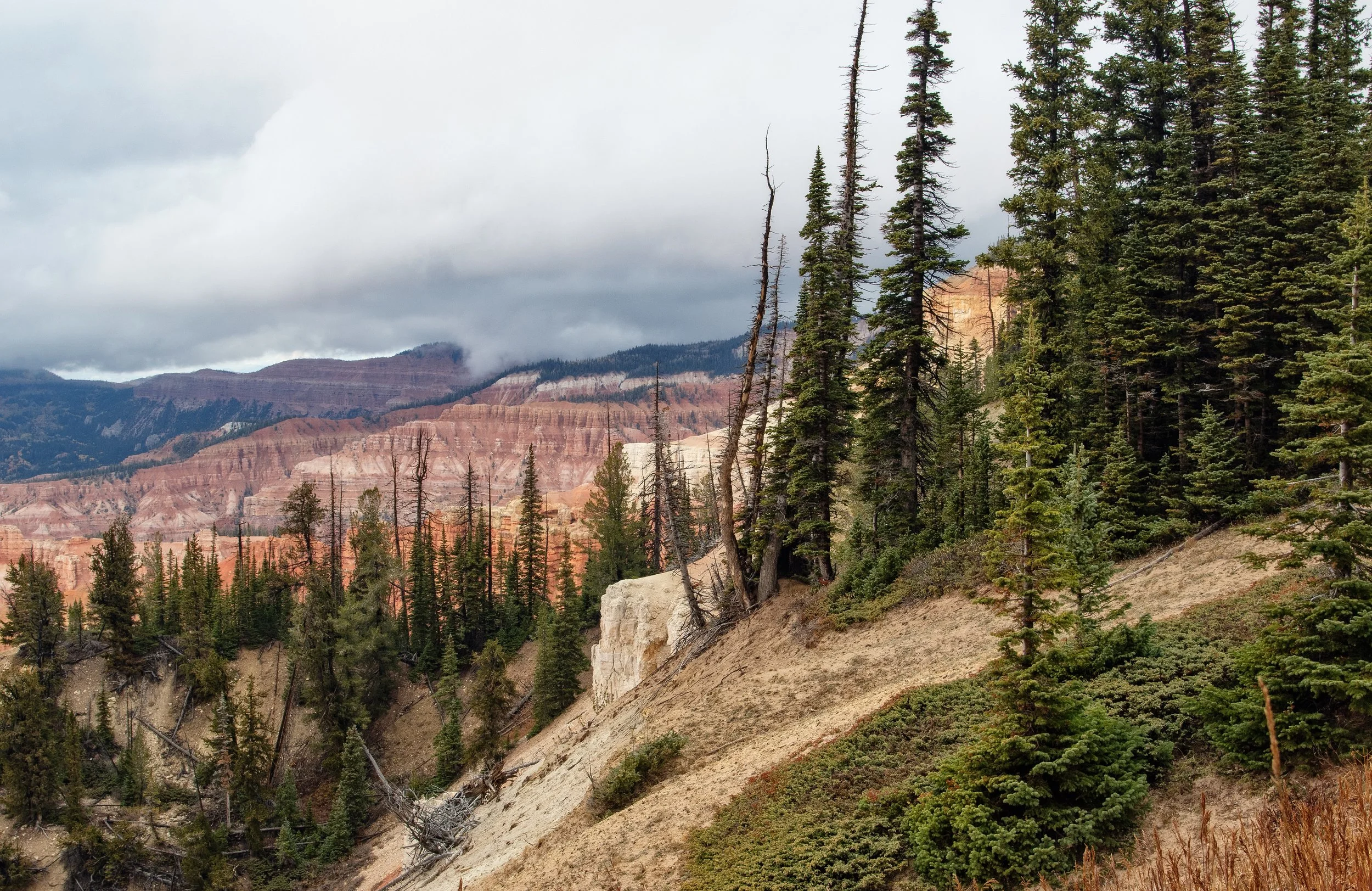 "Storm's Coming," Cedar Breaks, Utah