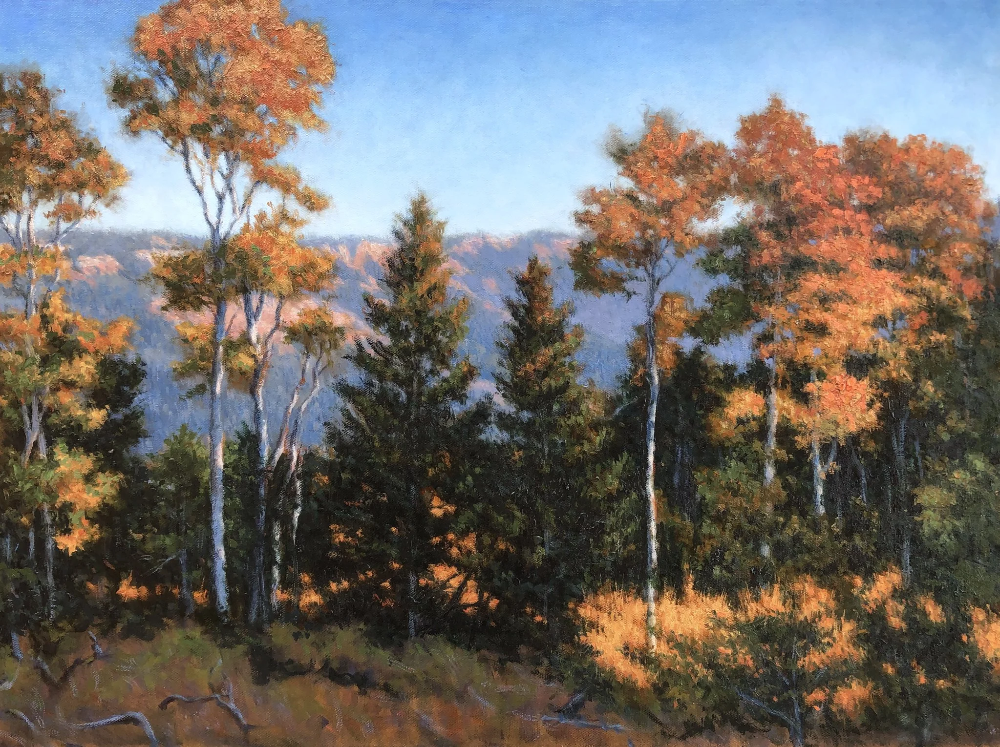 Golden Moment (18x24 oil)