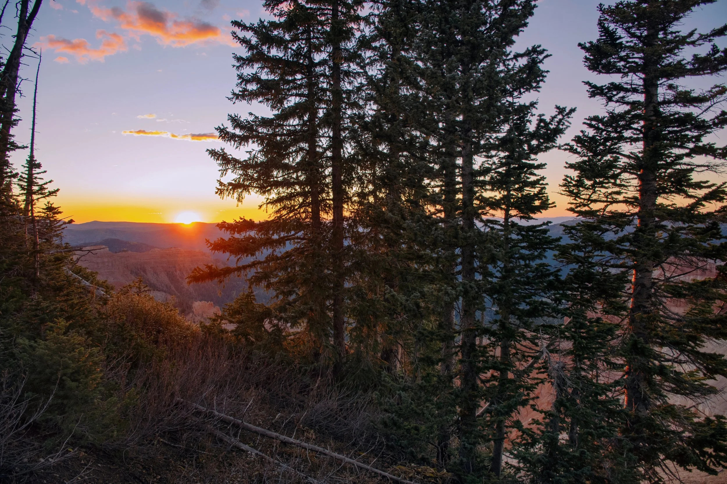 "Autumn Evening," Cedar Breaks, Utah