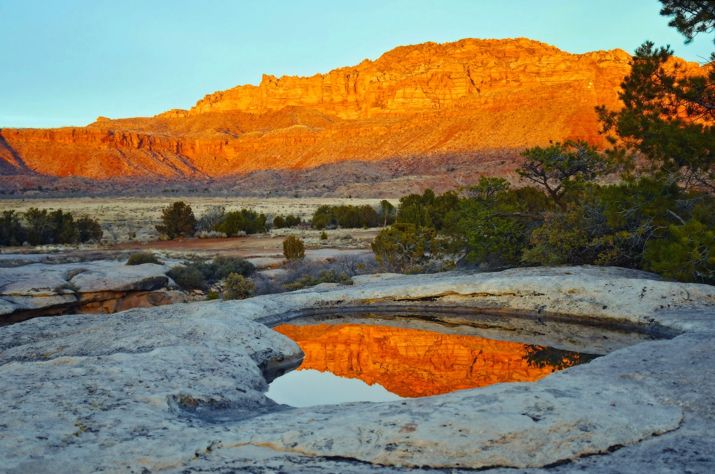 Canyon Reflections – Dalton Wash, Zion