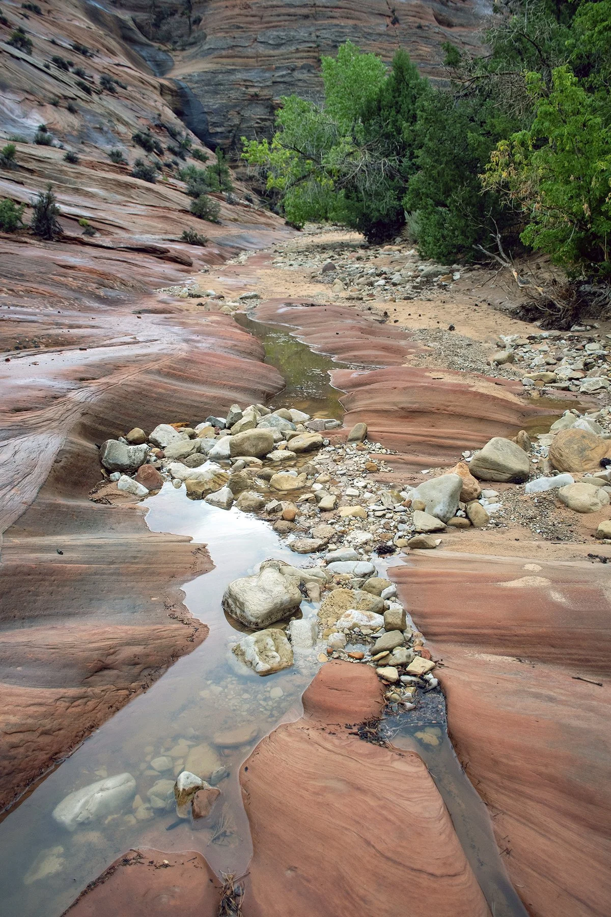 "Patterns in Stone," Zion