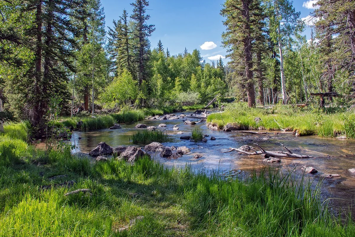 "Duck Creek 2", Cedar Mountain, Utah