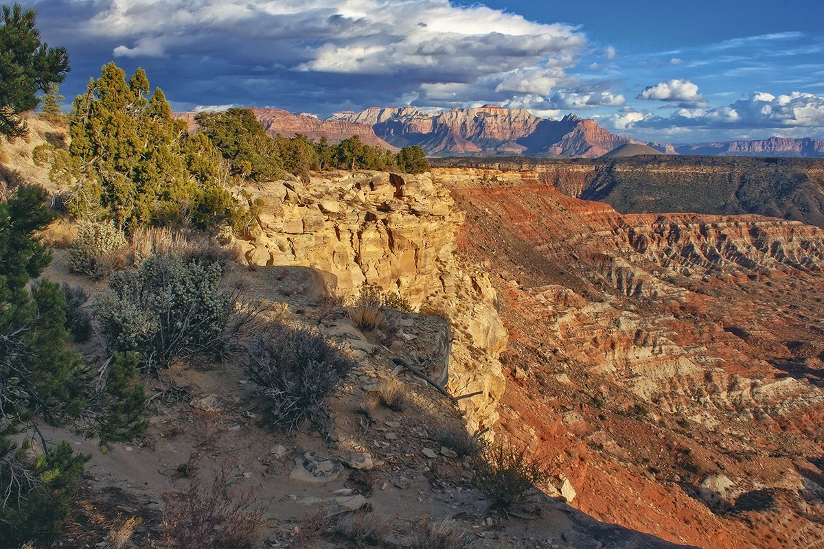 "Rock Concert," West Temple, Zion