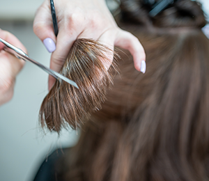 Haircuts and Styling.png