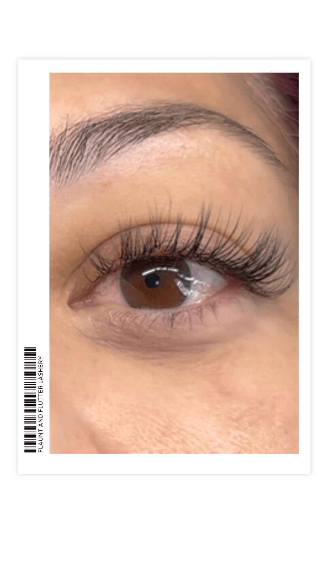 Close-up of a person's eye showing long, curled eyelashes, a brown iris, and well-shaped eyebrow with light makeup.